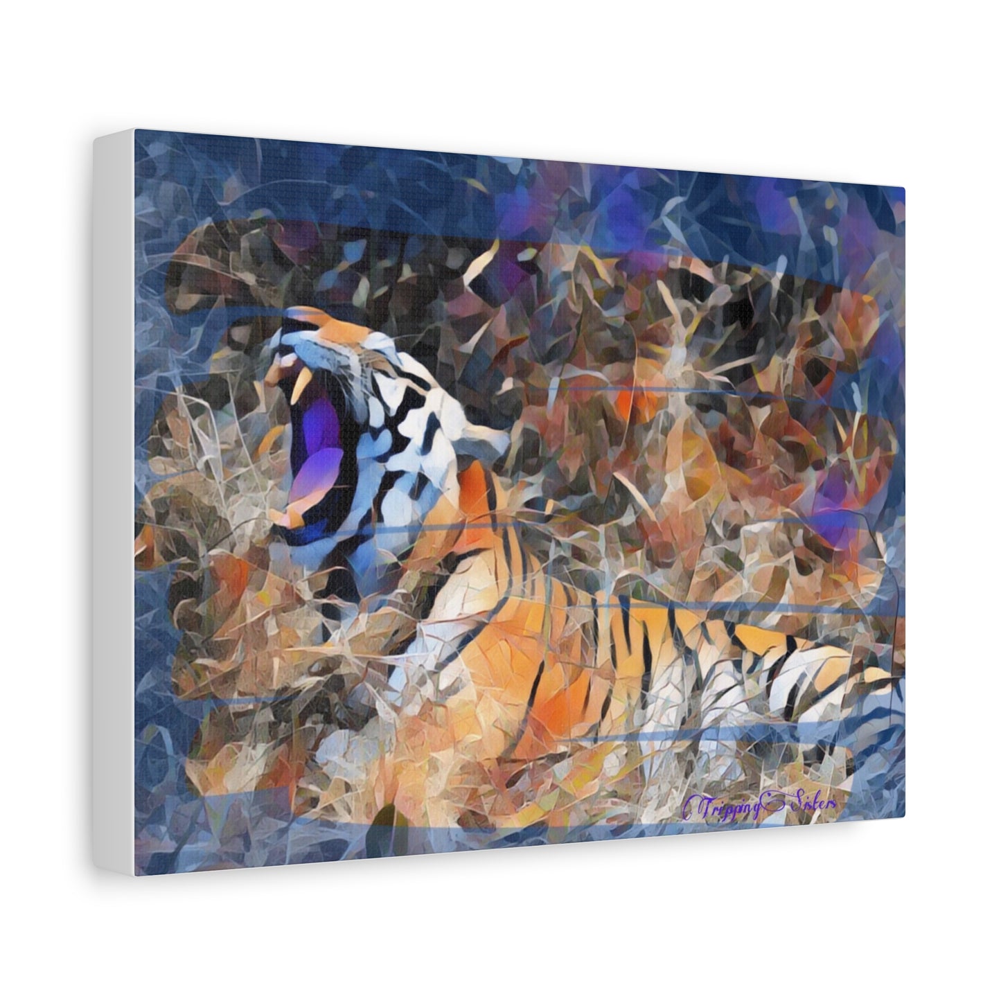 'Blue Tiger' Madhya Pradesh, India - Stretched Canvas