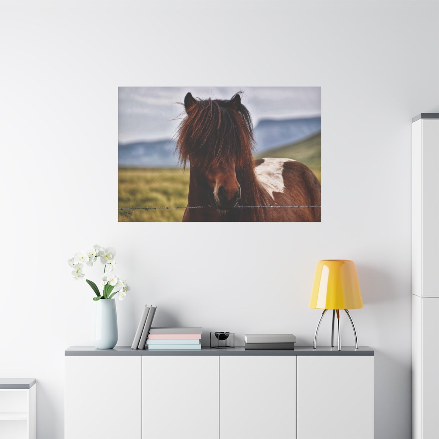 'Icelandic Pony' Iceland - Stretched Canvas