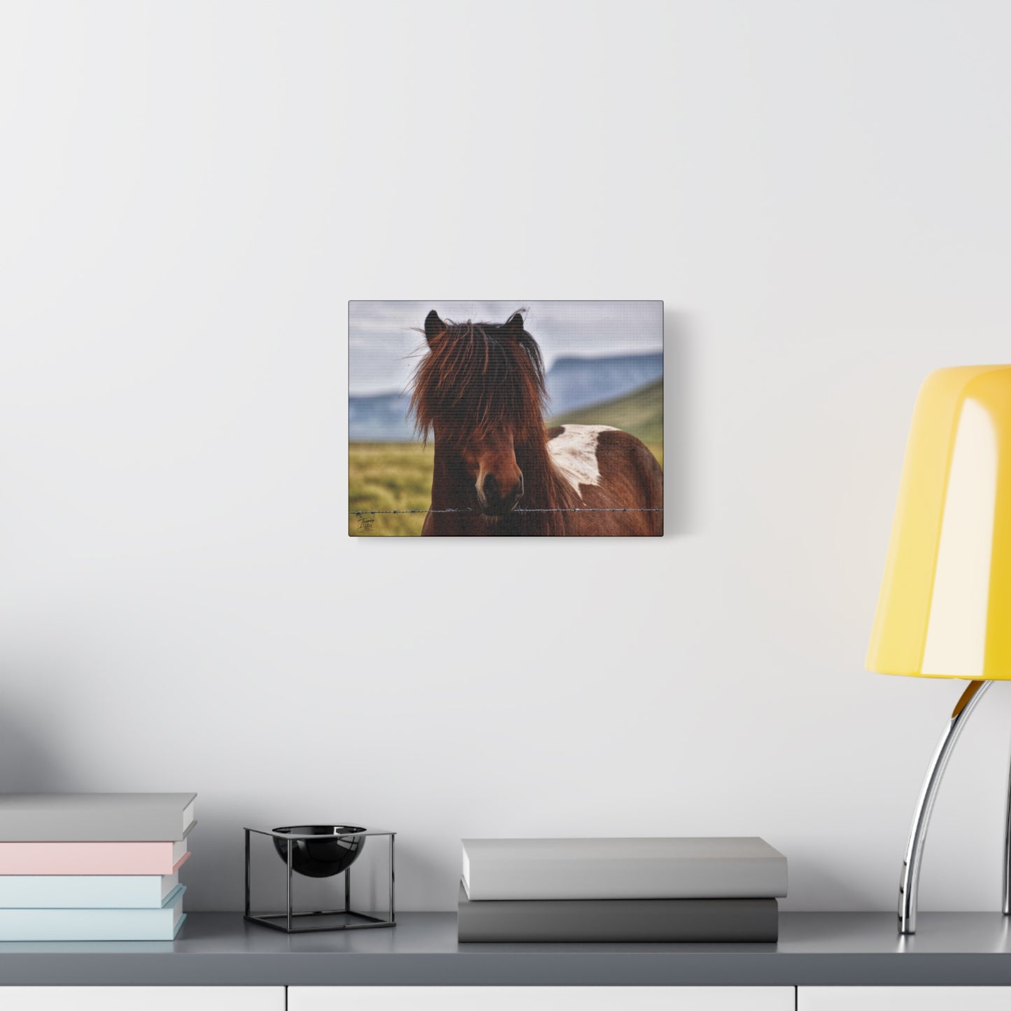 'Icelandic Pony' Iceland - Stretched Canvas