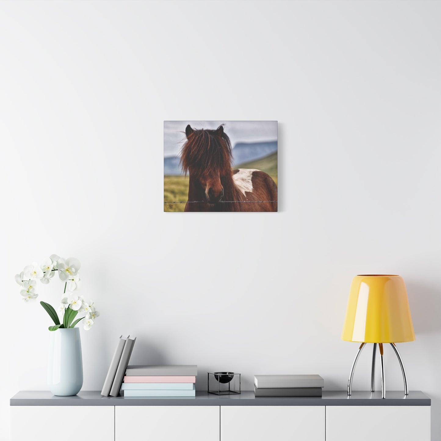 'Icelandic Pony' Iceland - Stretched Canvas