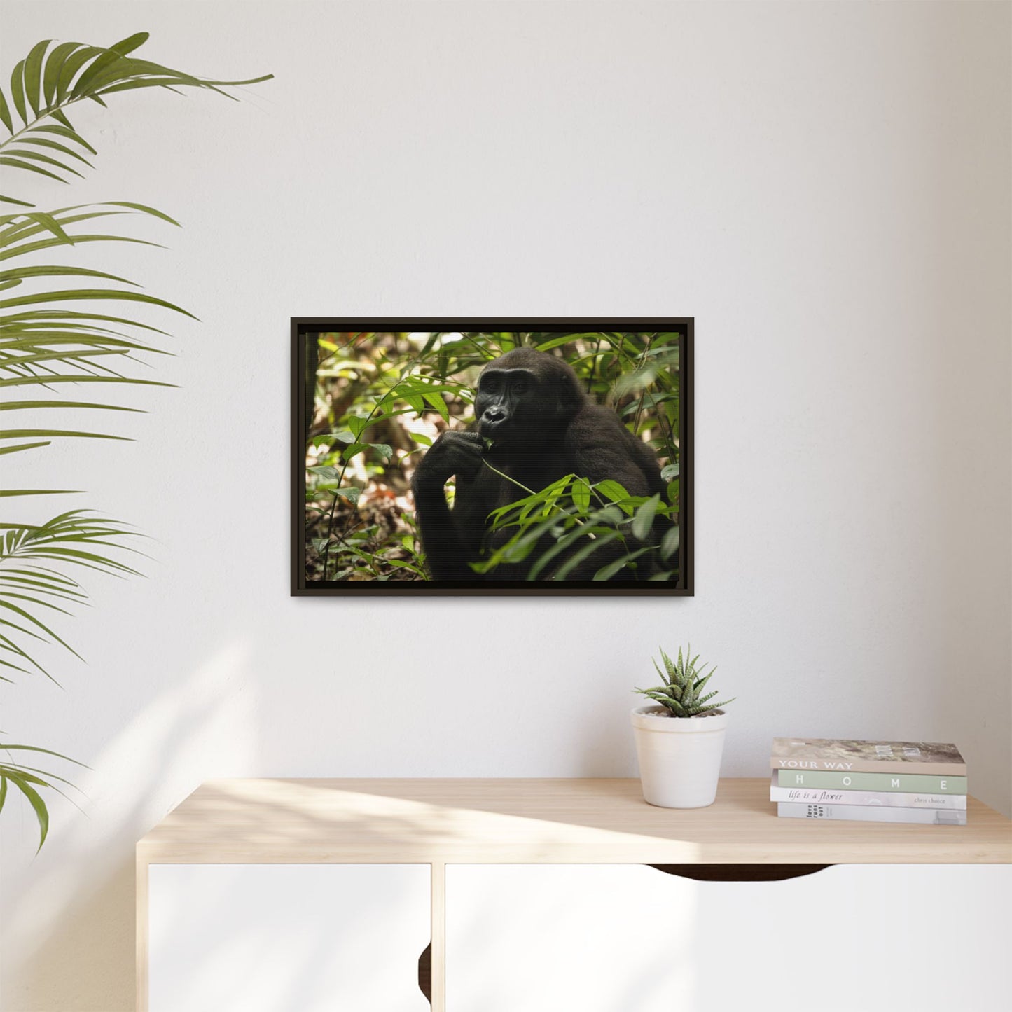Male Gorilla Wall Art, Gabon Wildlife Photography, African Forest Espresso Framed Canvas Print