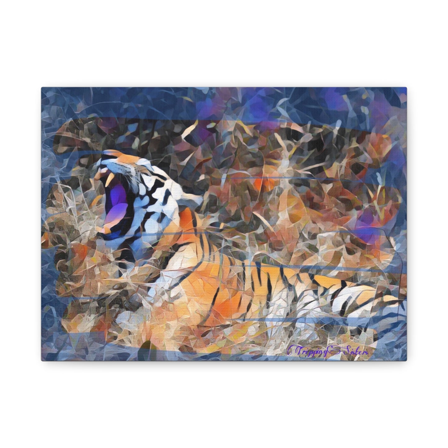'Blue Tiger' Madhya Pradesh, India - Stretched Canvas