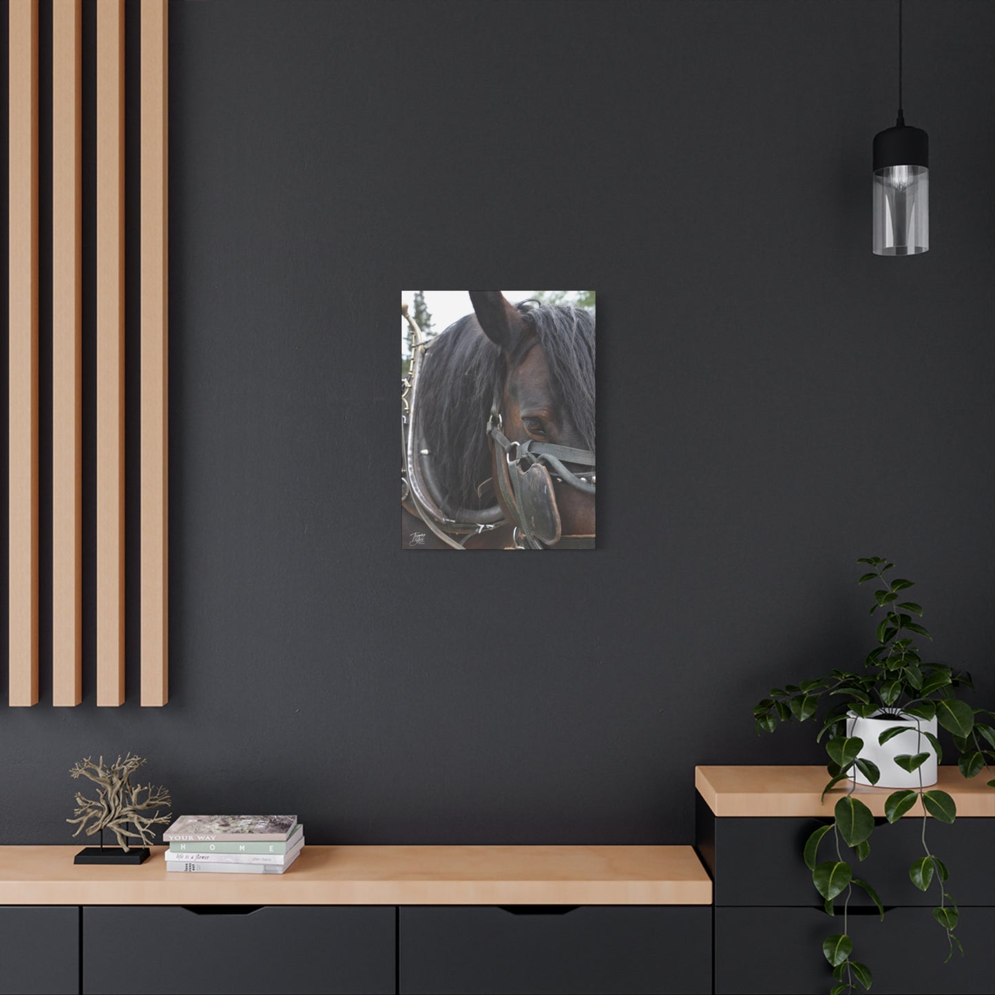 'Showman' British Columbia, Canada - Stretched Canvas