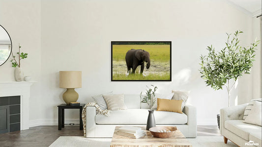 2728812 :: Giclée Stretched Canvas Print