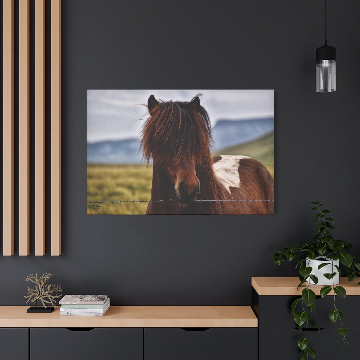 'Icelandic Pony' Iceland - Stretched Canvas