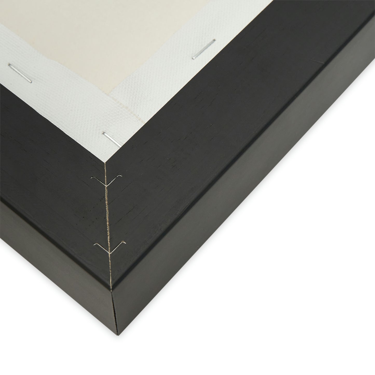 'Curiosity' Loas - Gallery Framed Canvas Wrap