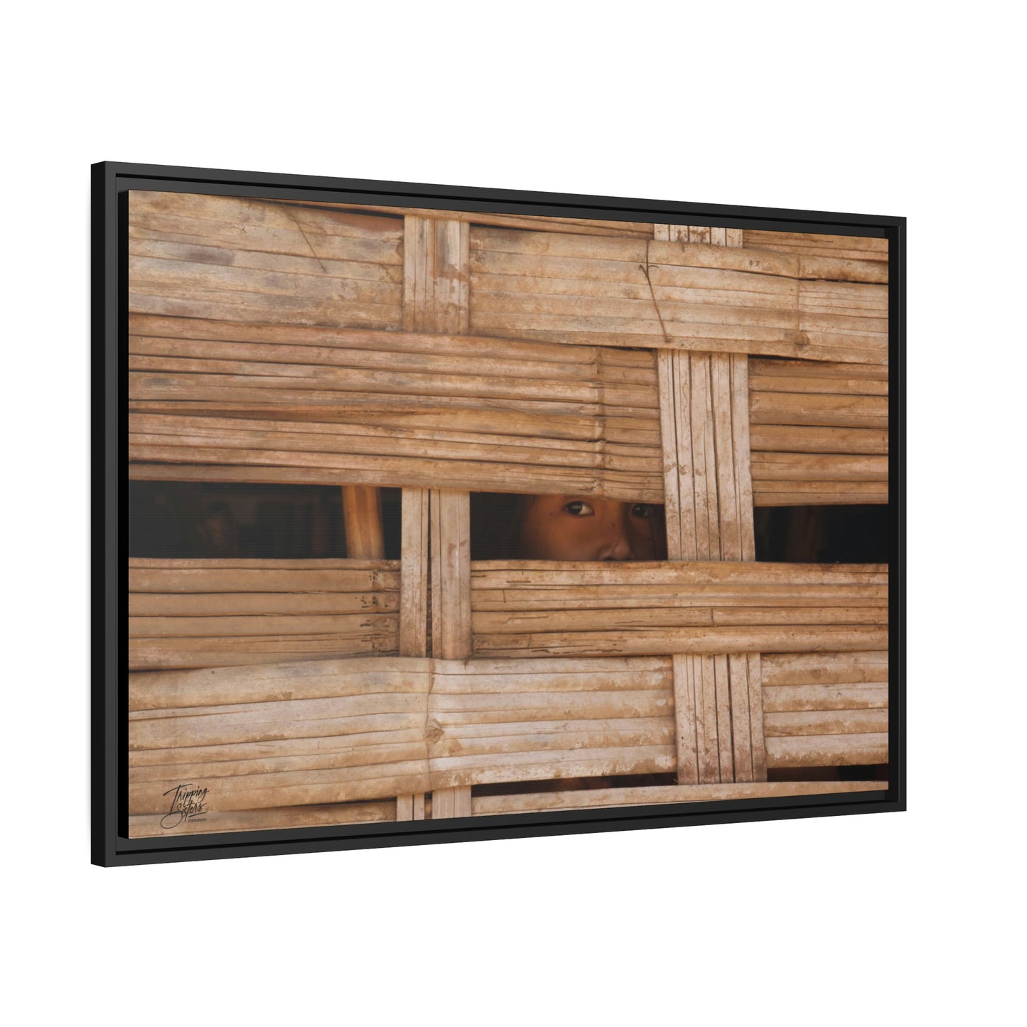 'Curiosity' Loas - Gallery Framed Canvas Wrap