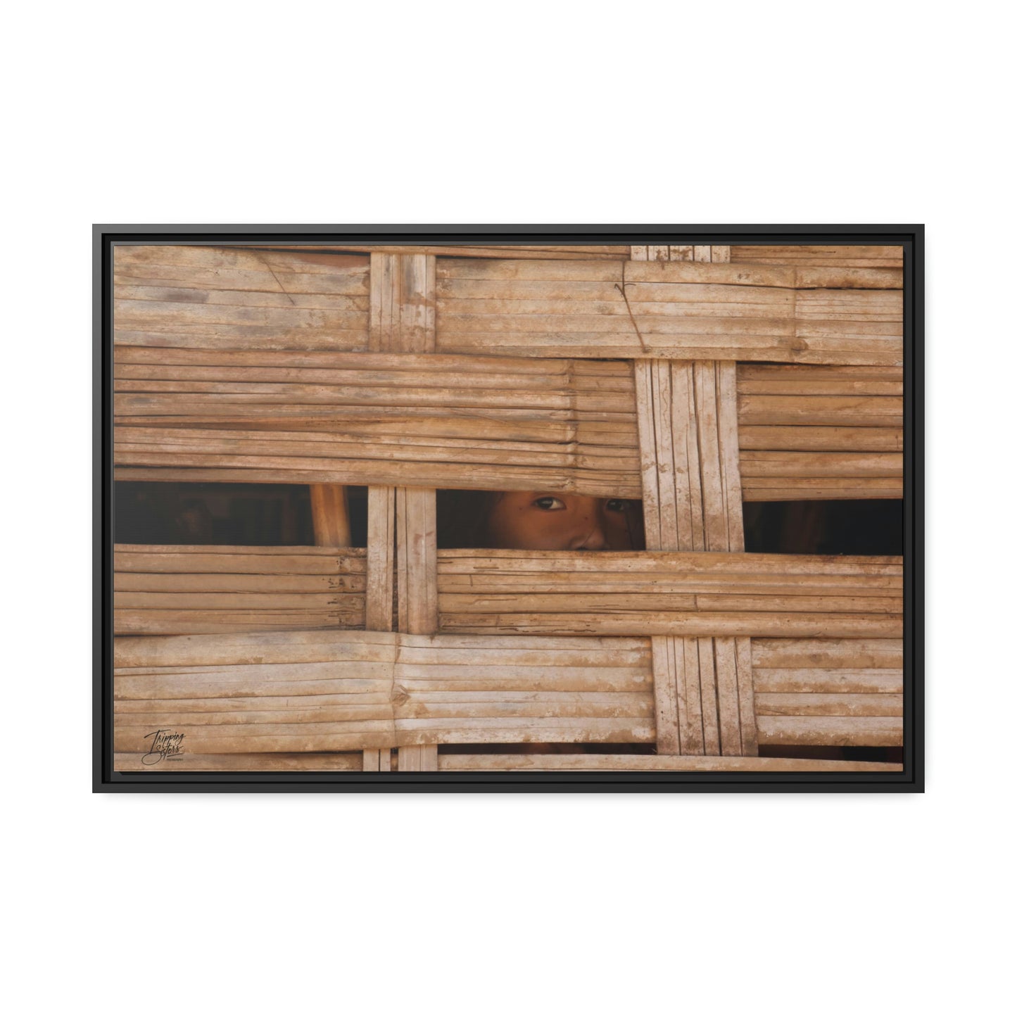 'Curiosity' Loas - Gallery Framed Canvas Wrap