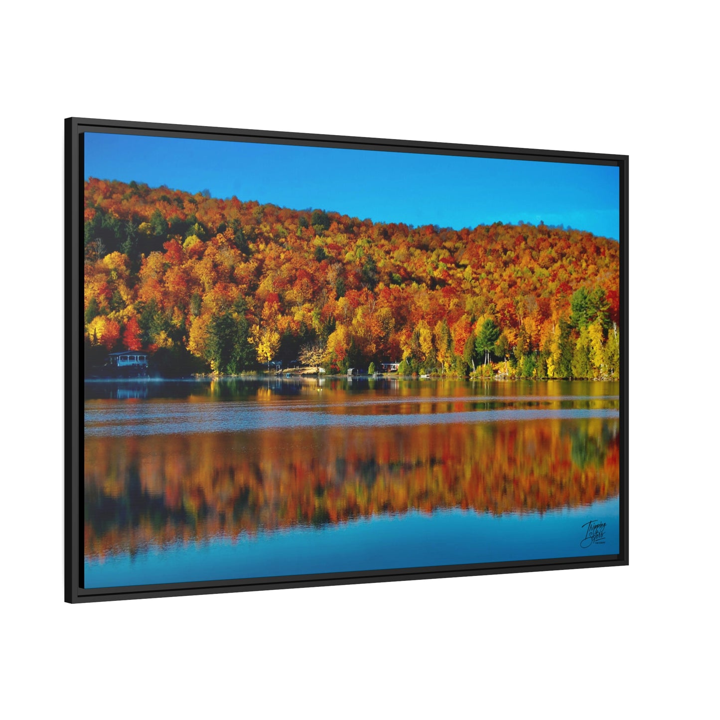 'Fall Rhapsody' Quebec, Canada - Gallery Framed Canvas Wrap