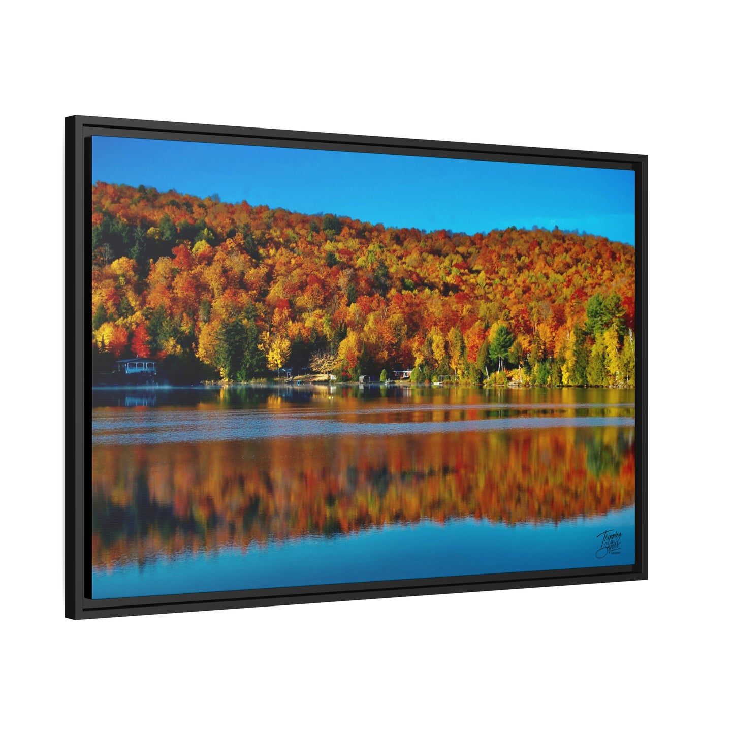 'Fall Rhapsody' Quebec, Canada - Gallery Framed Canvas Wrap