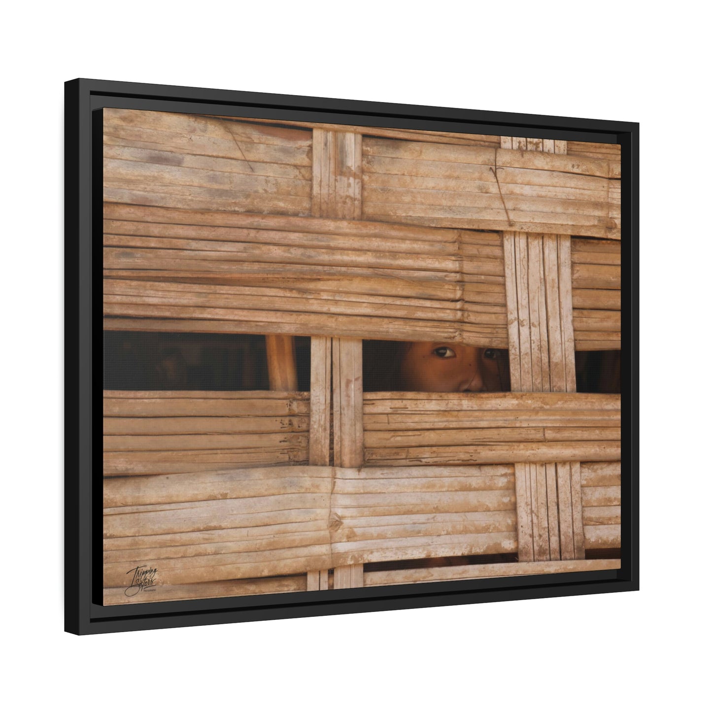 'Curiosity' Loas - Gallery Framed Canvas Wrap