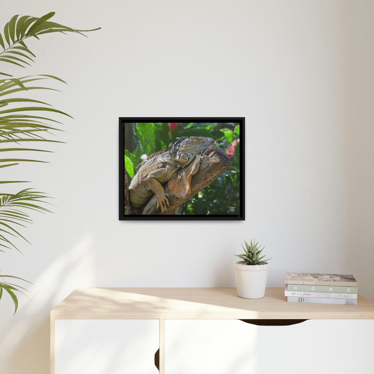 'Lounging' in Jamaica - Gallery Framed Canvas Wrap