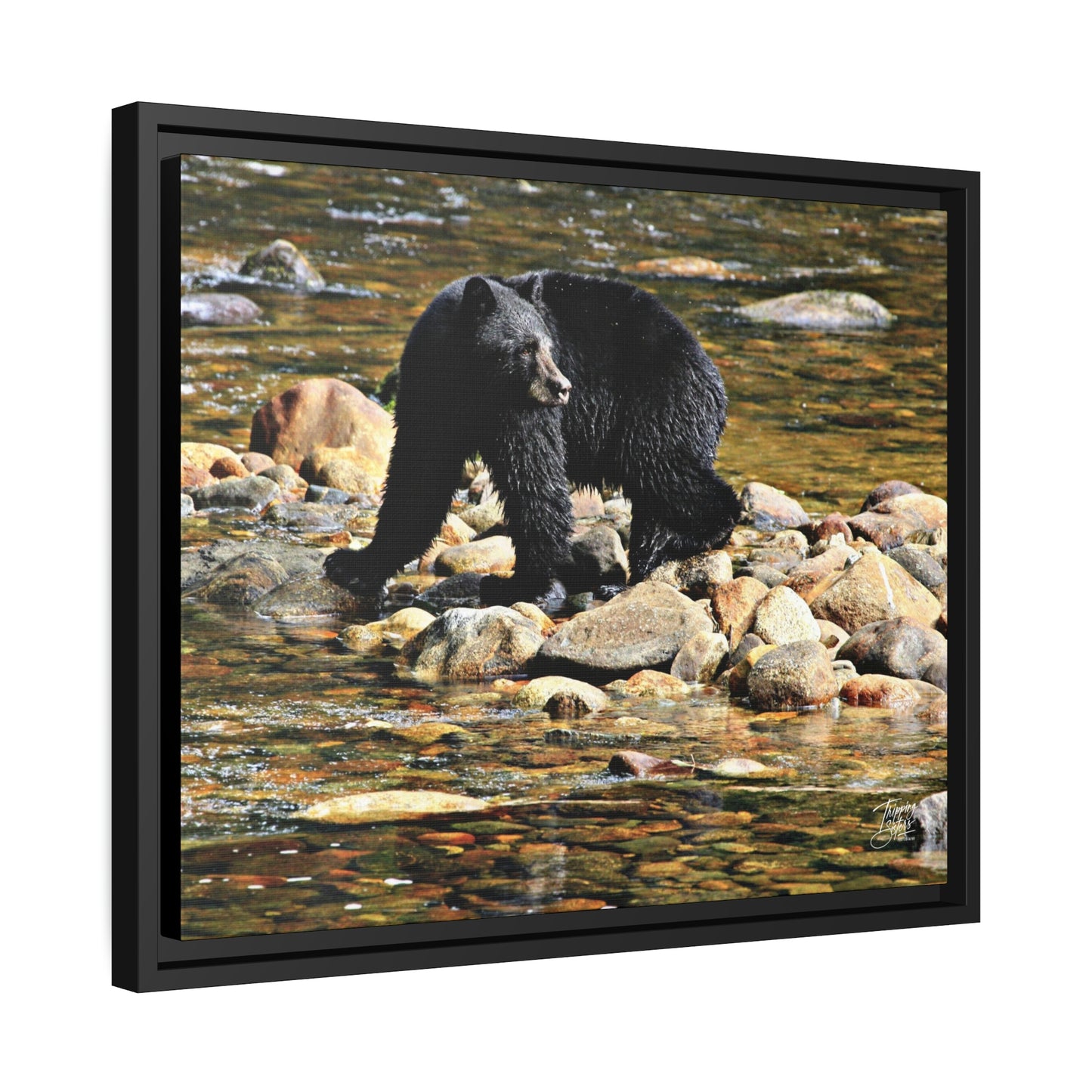 'I See You' Bella Bella, BC  - Gallery Framed Canvas Wrap