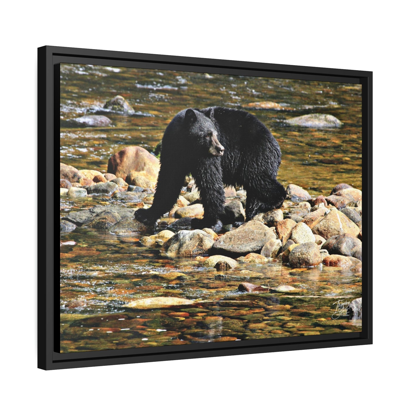 'I See You' Bella Bella, BC  - Gallery Framed Canvas Wrap