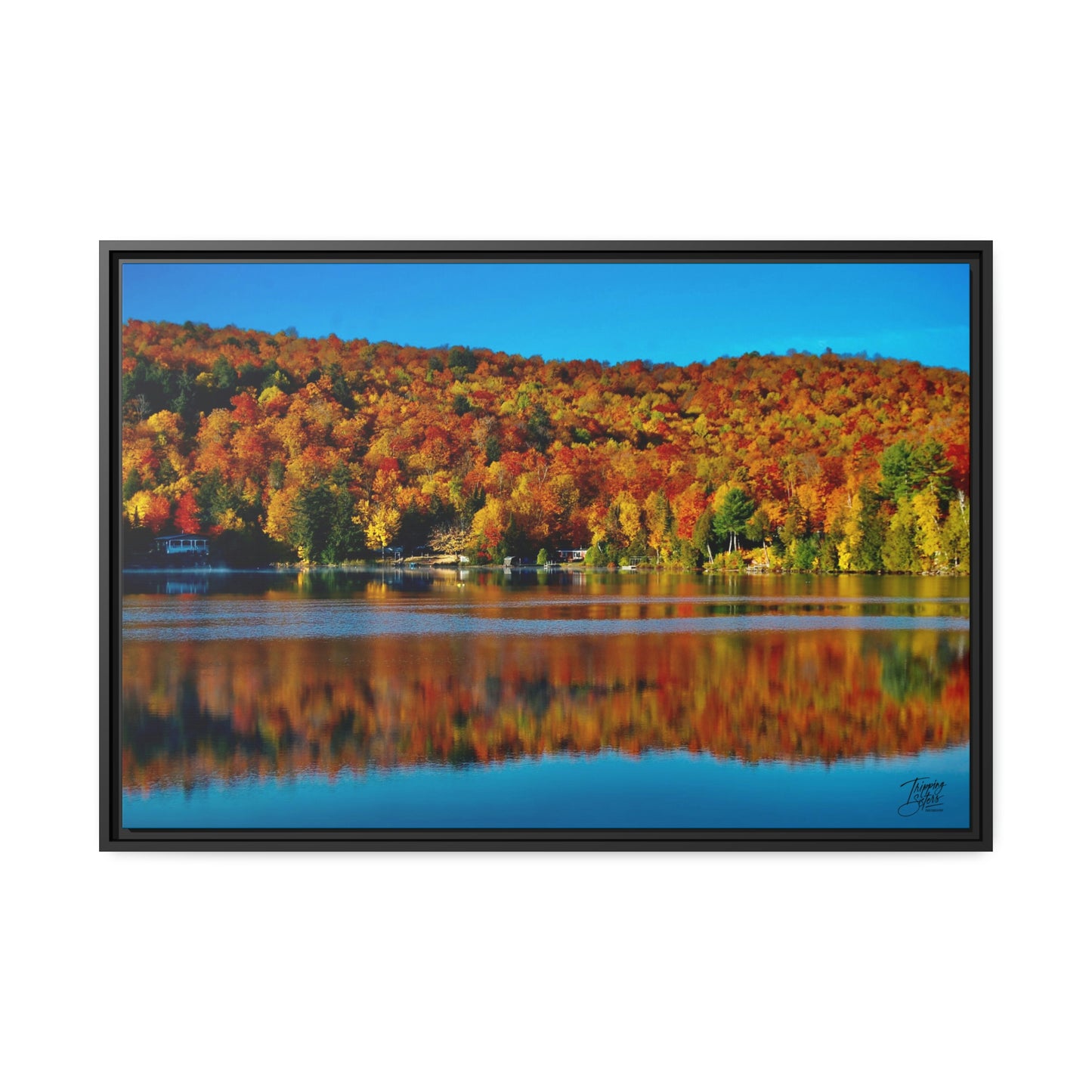 'Fall Rhapsody' Quebec, Canada - Gallery Framed Canvas Wrap