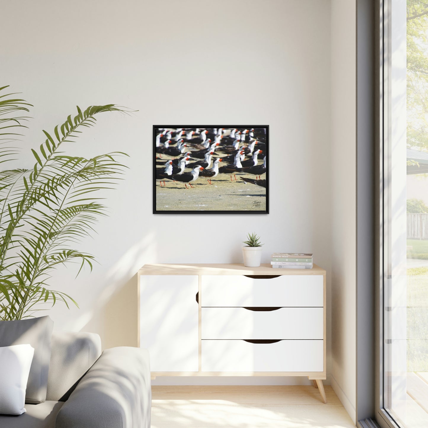 'Skimming West' Port Richey, Florida - Gallery Framed Canvas Wrap