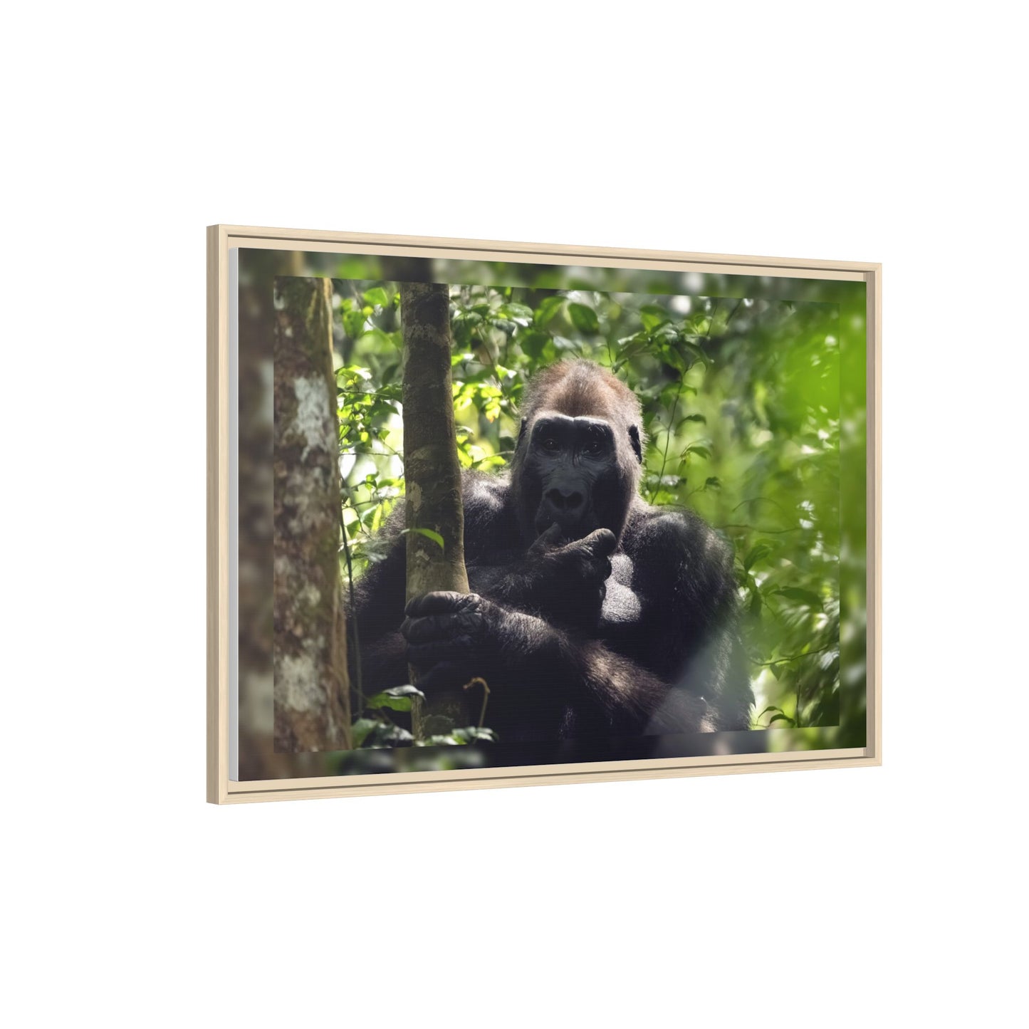 Silverback Gorilla Framed Canvas Wall Art, Gabon Africa Wildlife Photography Print, Safari Animal Decor