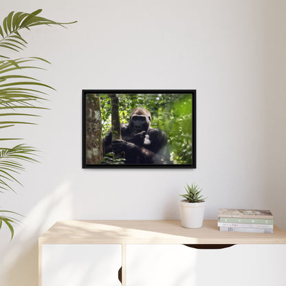 Silverback Gorilla Framed Canvas Wall Art, Gabon Africa Wildlife Photography Print, Safari Animal Decor