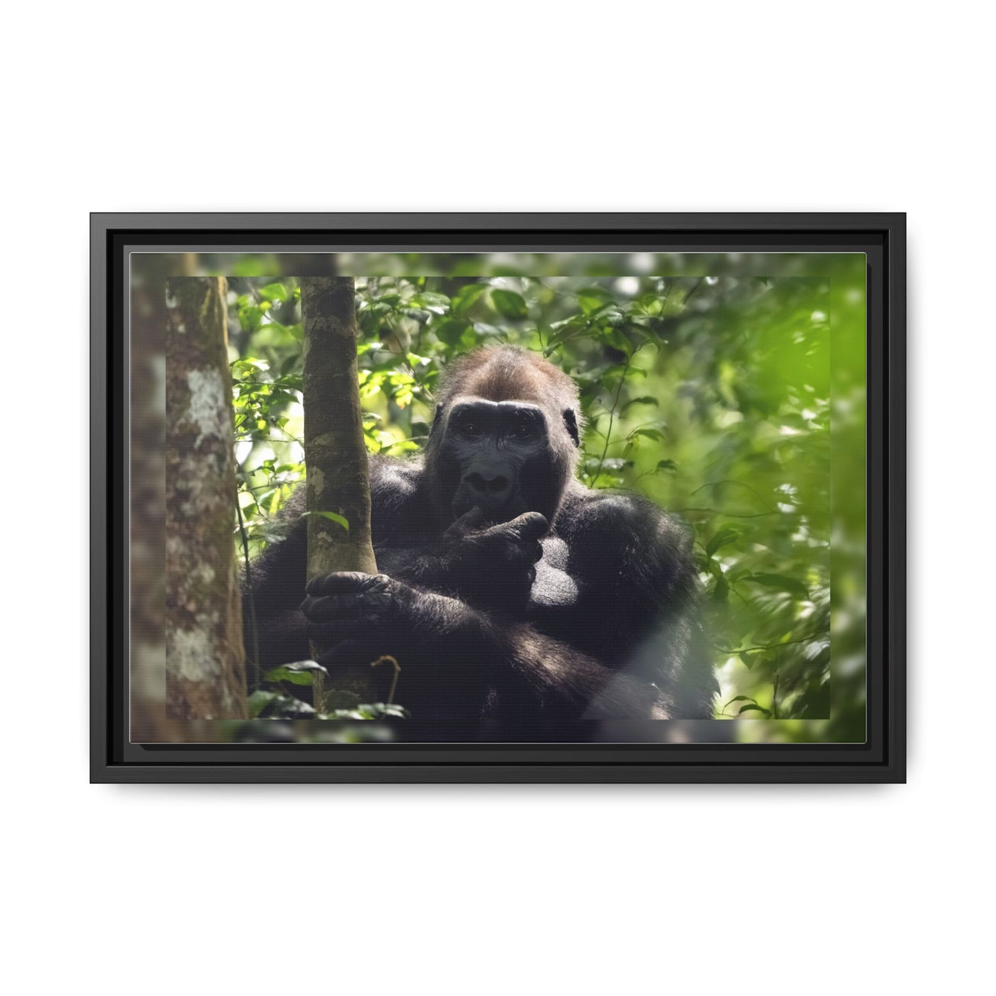 Silverback Gorilla Framed Canvas Wall Art, Gabon Africa Wildlife Photography Print, Safari Animal Decor