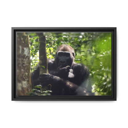 Silverback Gorilla Framed Canvas Wall Art, Gabon Africa Wildlife Photography Print, Safari Animal Decor