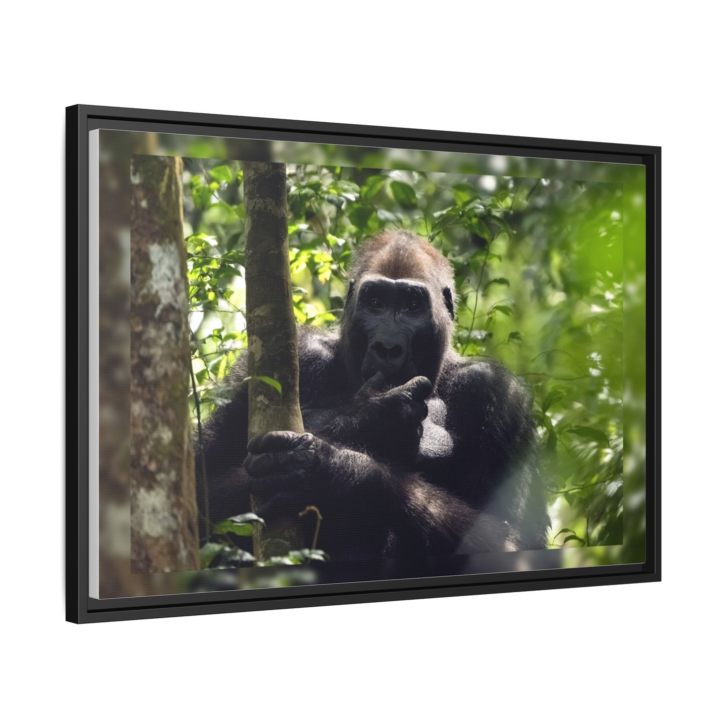 Silverback Gorilla Framed Canvas Wall Art, Gabon Africa Wildlife Photography Print, Safari Animal Decor
