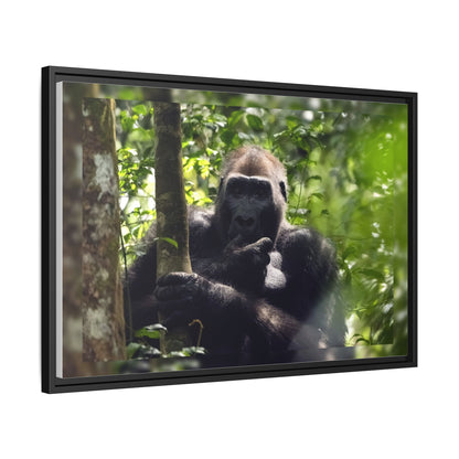 Silverback Gorilla Framed Canvas Wall Art, Gabon Africa Wildlife Photography Print, Safari Animal Decor