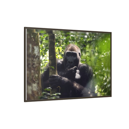 Silverback Gorilla Framed Canvas Wall Art, Gabon Africa Wildlife Photography Print, Safari Animal Decor