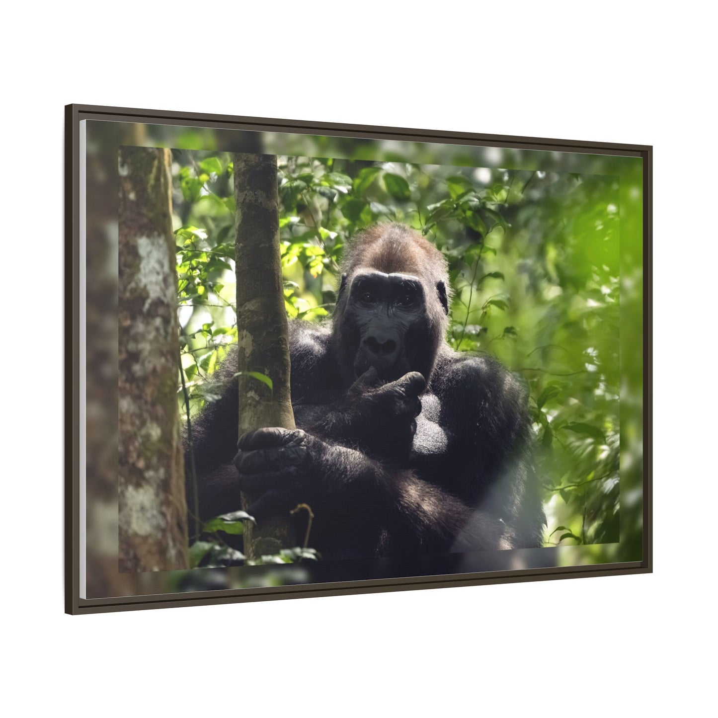 Silverback Gorilla Framed Canvas Wall Art, Gabon Africa Wildlife Photography Print, Safari Animal Decor