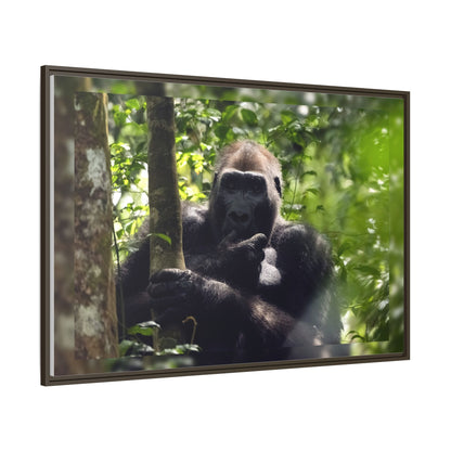Silverback Gorilla Framed Canvas Wall Art, Gabon Africa Wildlife Photography Print, Safari Animal Decor