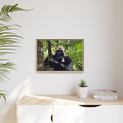 Silverback Gorilla Framed Canvas Wall Art, Gabon Africa Wildlife Photography Print, Safari Animal Decor