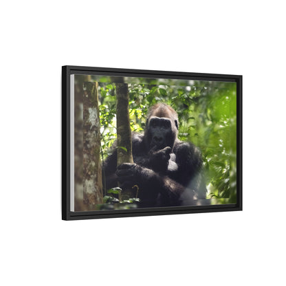 Silverback Gorilla Framed Canvas Wall Art, Gabon Africa Wildlife Photography Print, Safari Animal Decor