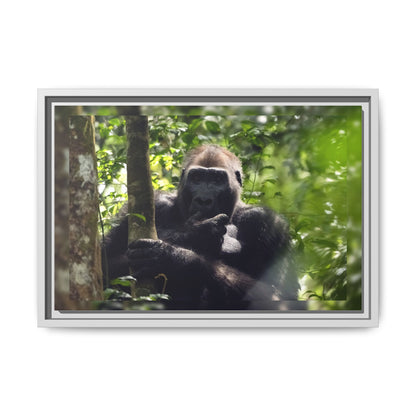 Silverback Gorilla Framed Canvas Wall Art, Gabon Africa Wildlife Photography Print, Safari Animal Decor