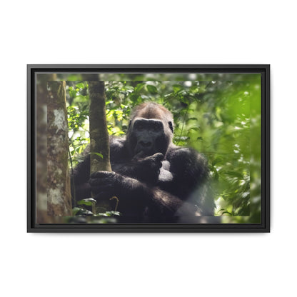 Silverback Gorilla Framed Canvas Wall Art, Gabon Africa Wildlife Photography Print, Safari Animal Decor