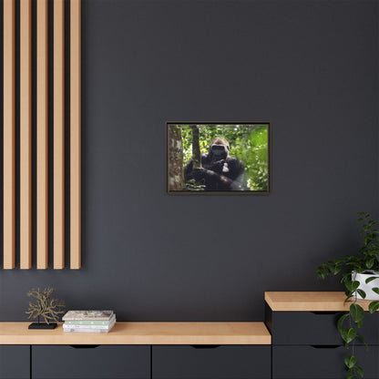 Silverback Gorilla Framed Canvas Wall Art, Gabon Africa Wildlife Photography Print, Safari Animal Decor