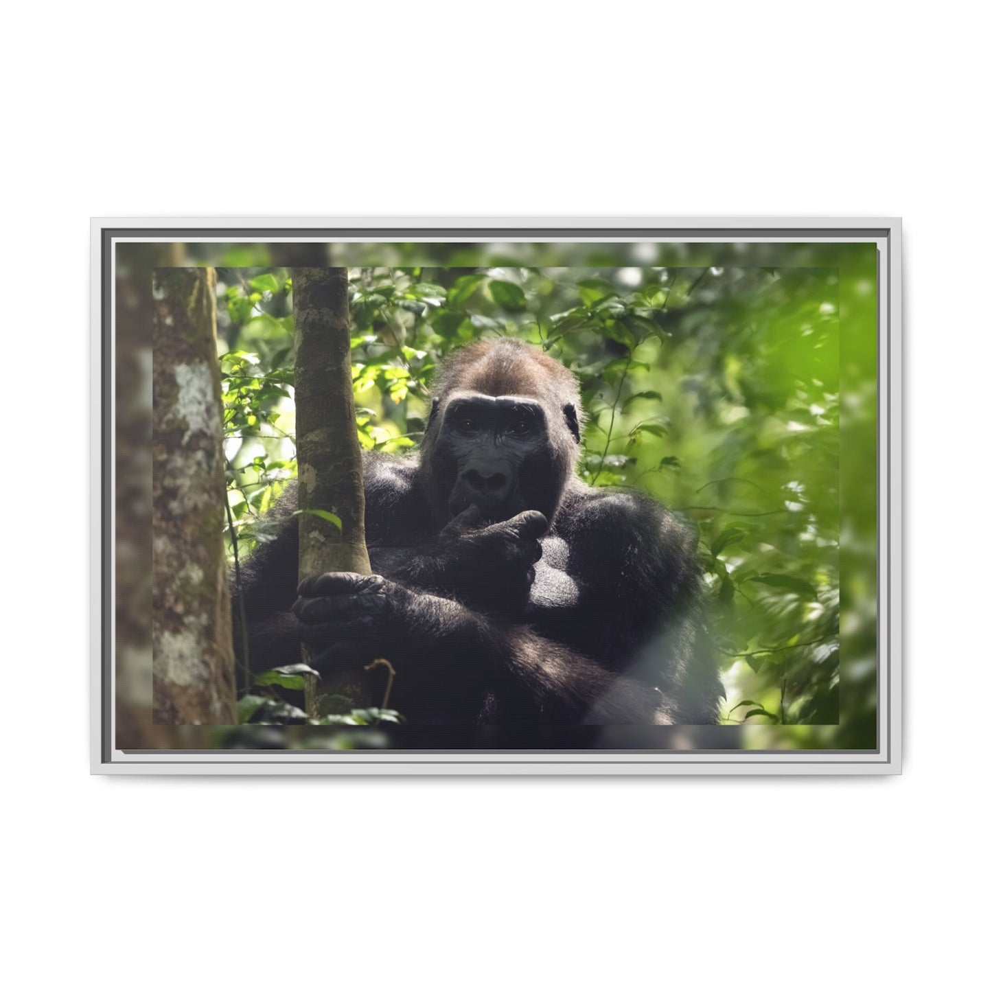 Silverback Gorilla Framed Canvas Wall Art, Gabon Africa Wildlife Photography Print, Safari Animal Decor