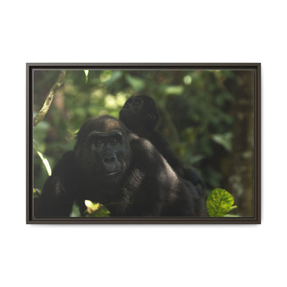 Gorilla Mother and Baby Wall Art, Gabon Wildlife Photo, African Forest Espresso Framed Canvas Print