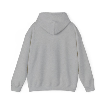 ‘Synchronicity’ Eastern North America - Unisex Heavy Blend™ Hooded Sweatshirt