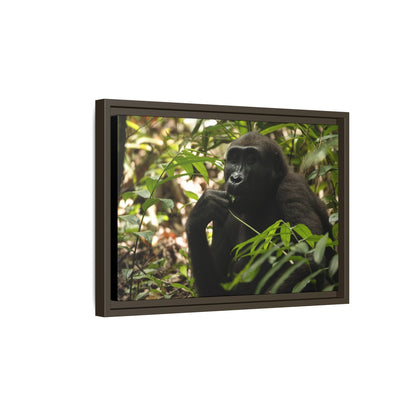 Male Gorilla Wall Art, Gabon Wildlife Photography, African Forest Espresso Framed Canvas Print