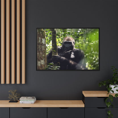 Silverback Gorilla Framed Canvas Wall Art, Gabon Africa Wildlife Photography Print, Safari Animal Decor