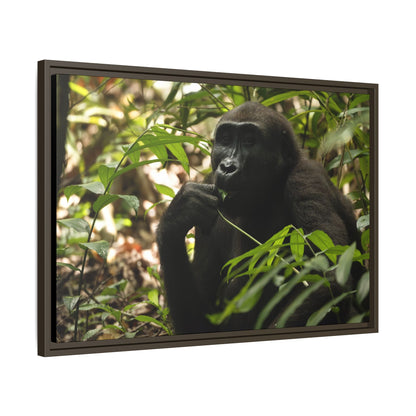 Male Gorilla Wall Art, Gabon Wildlife Photography, African Forest Espresso Framed Canvas Print