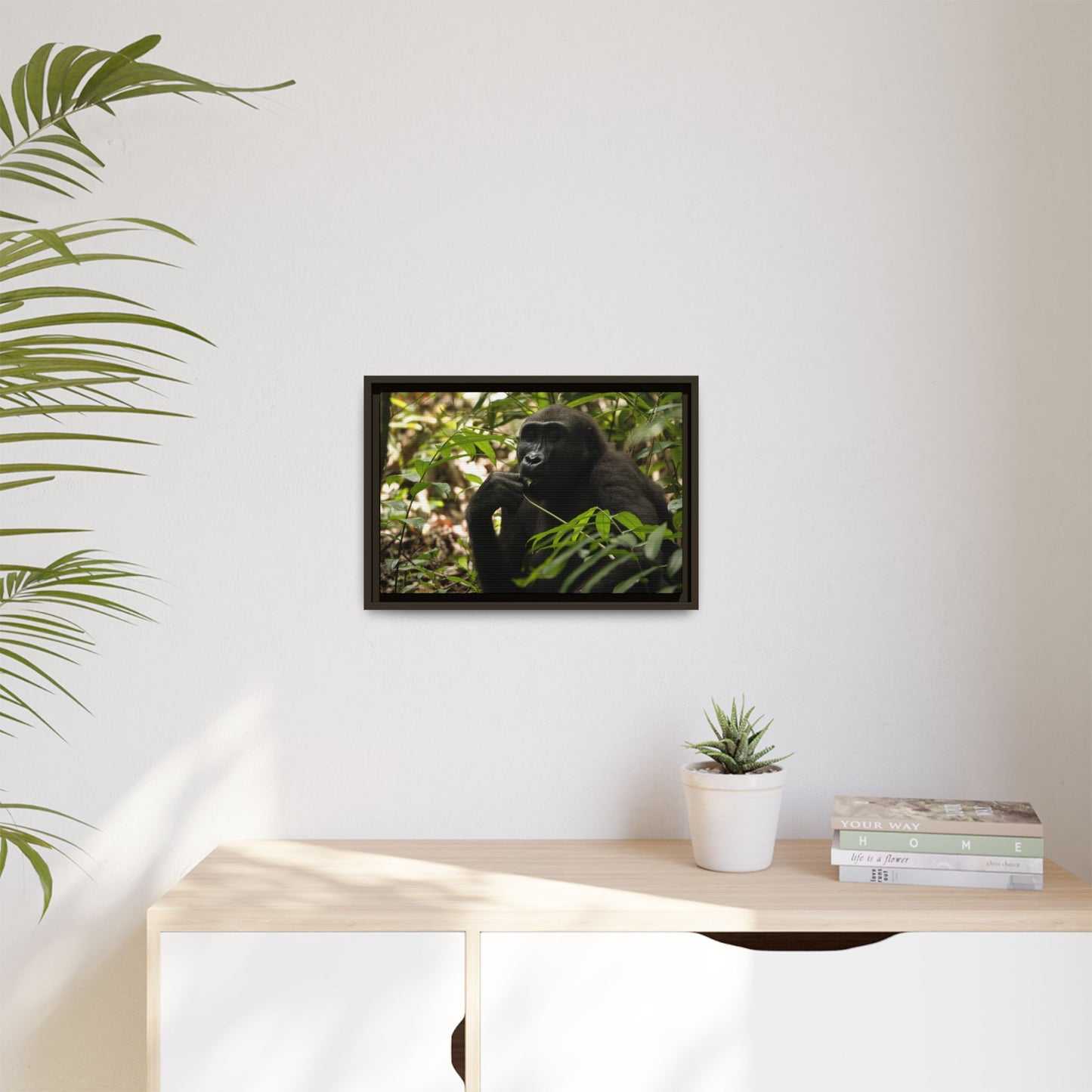 Male Gorilla Wall Art, Gabon Wildlife Photography, African Forest Espresso Framed Canvas Print