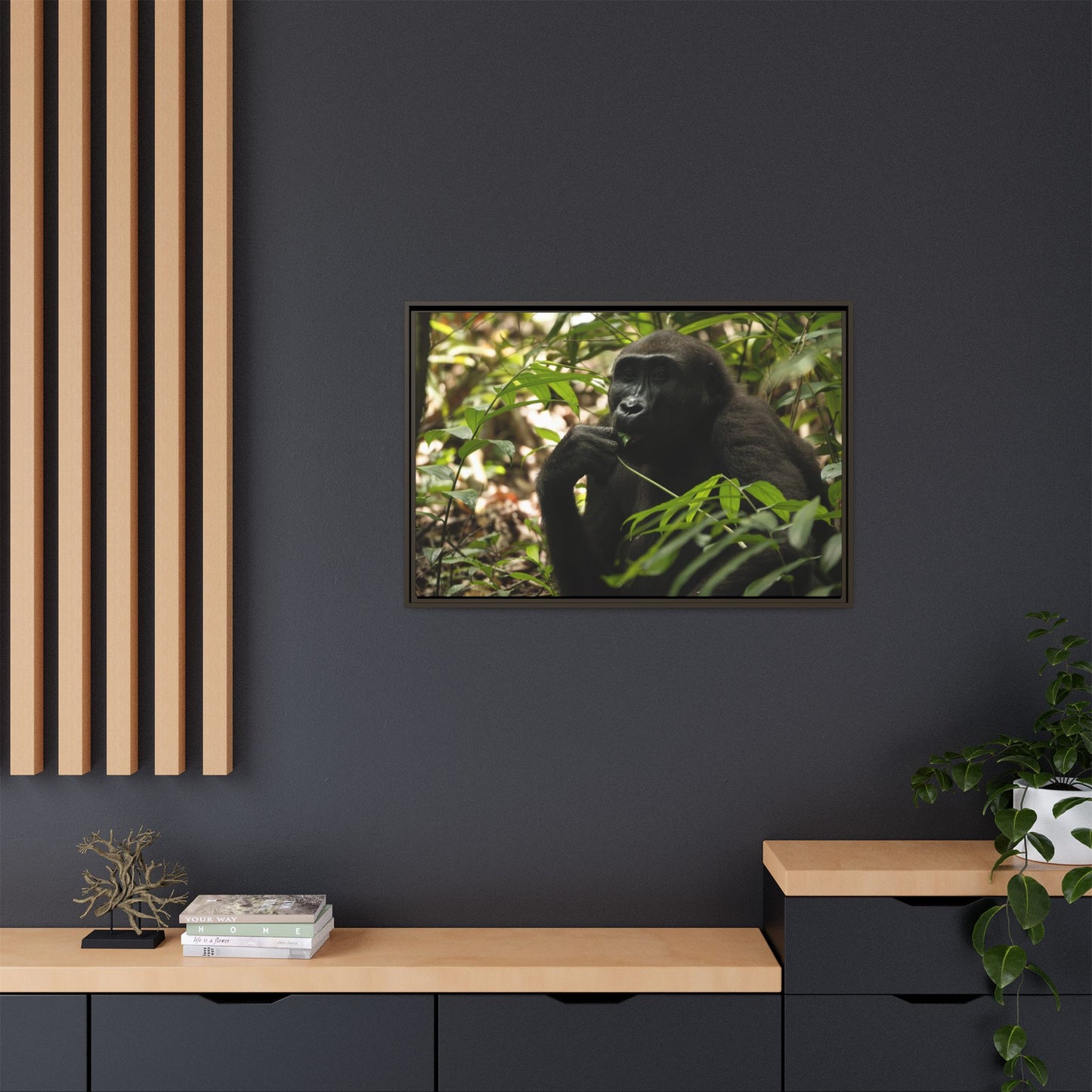 Male Gorilla Wall Art, Gabon Wildlife Photography, African Forest Espresso Framed Canvas Print