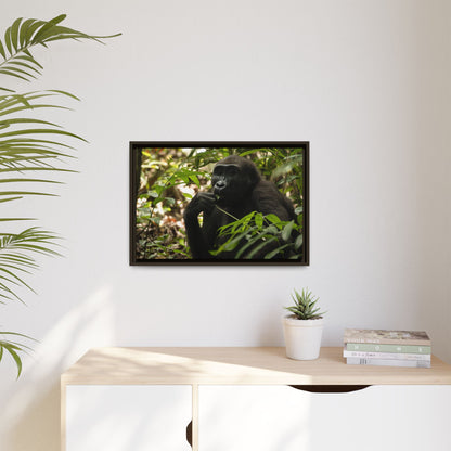 Male Gorilla Wall Art, Gabon Wildlife Photography, African Forest Espresso Framed Canvas Print