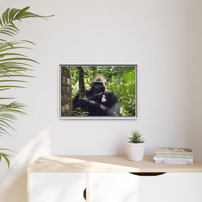 Silverback Gorilla Framed Canvas Wall Art, Gabon Africa Wildlife Photography Print, Safari Animal Decor