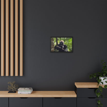 Silverback Gorilla Framed Canvas Wall Art, Gabon Africa Wildlife Photography Print, Safari Animal Decor