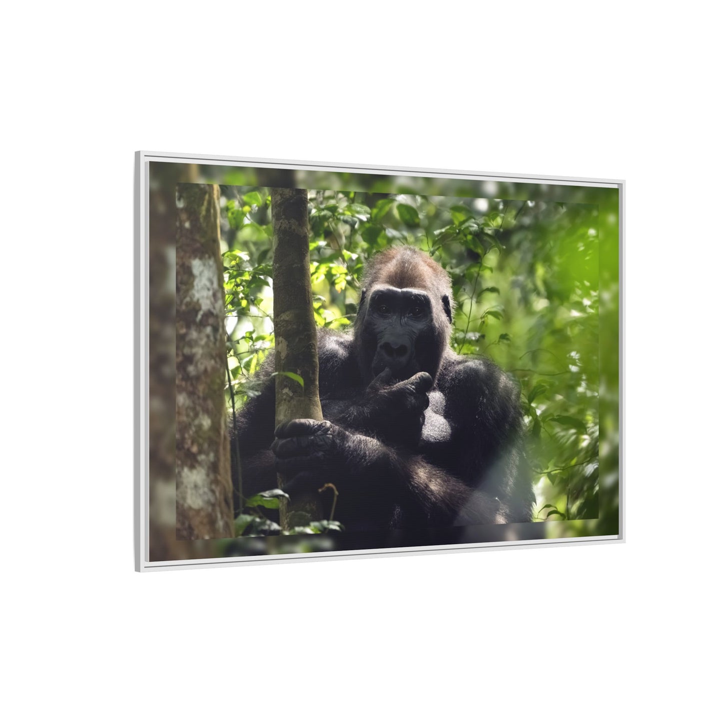 Silverback Gorilla Framed Canvas Wall Art, Gabon Africa Wildlife Photography Print, Safari Animal Decor