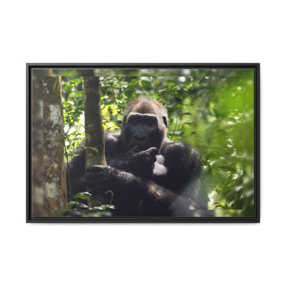 Silverback Gorilla Framed Canvas Wall Art, Gabon Africa Wildlife Photography Print, Safari Animal Decor