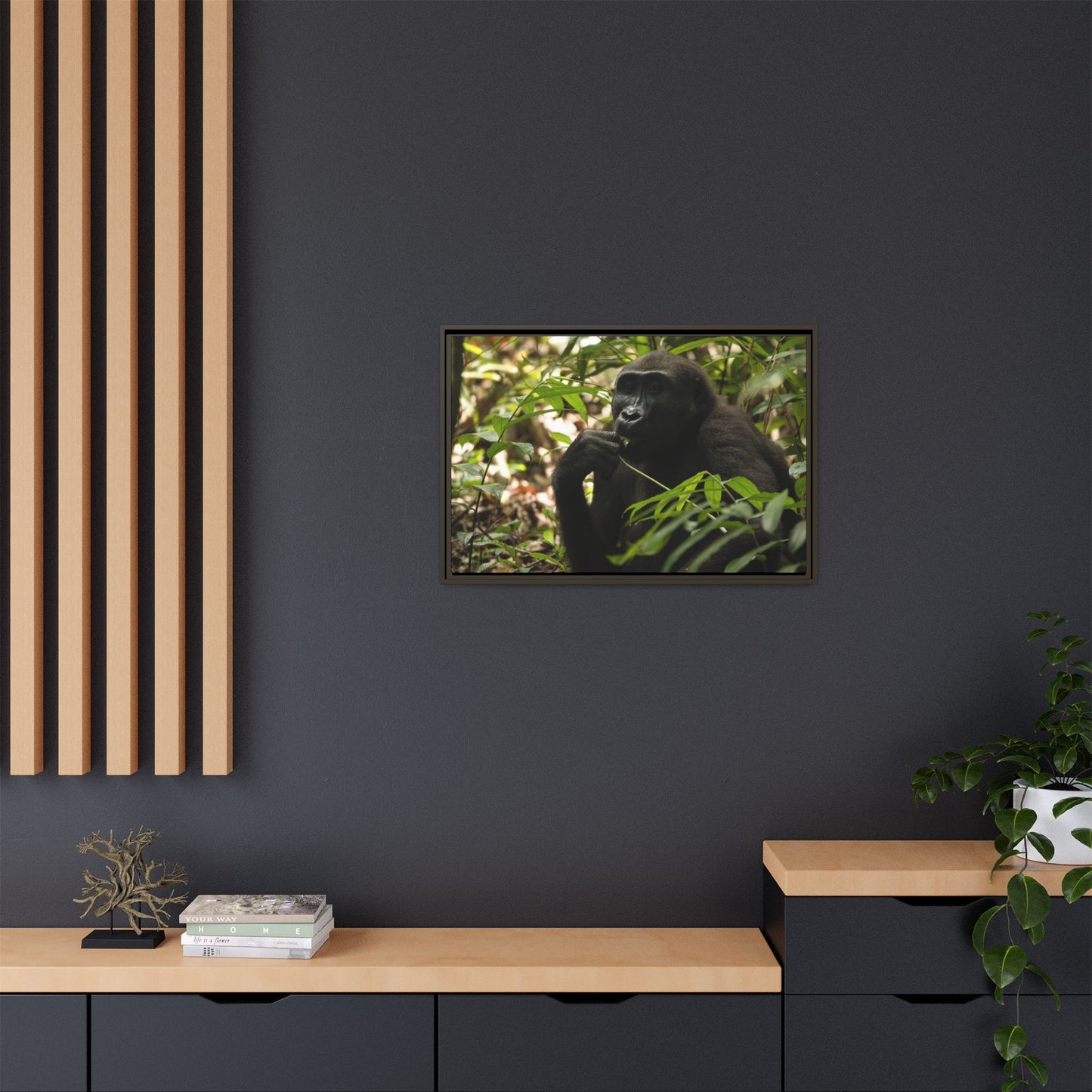 Male Gorilla Wall Art, Gabon Wildlife Photography, African Forest Espresso Framed Canvas Print