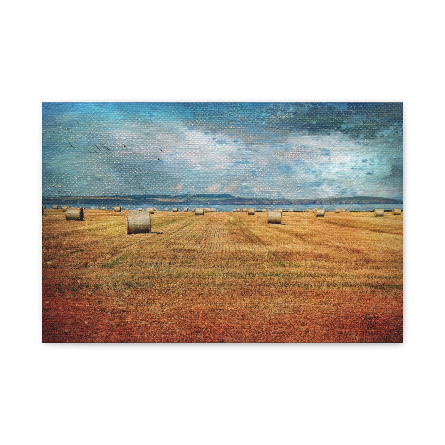 ‘Centre Field’ Hook Head, Ireland - Matte Canvas, Stretched