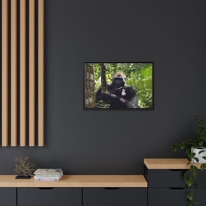Silverback Gorilla Framed Canvas Wall Art, Gabon Africa Wildlife Photography Print, Safari Animal Decor